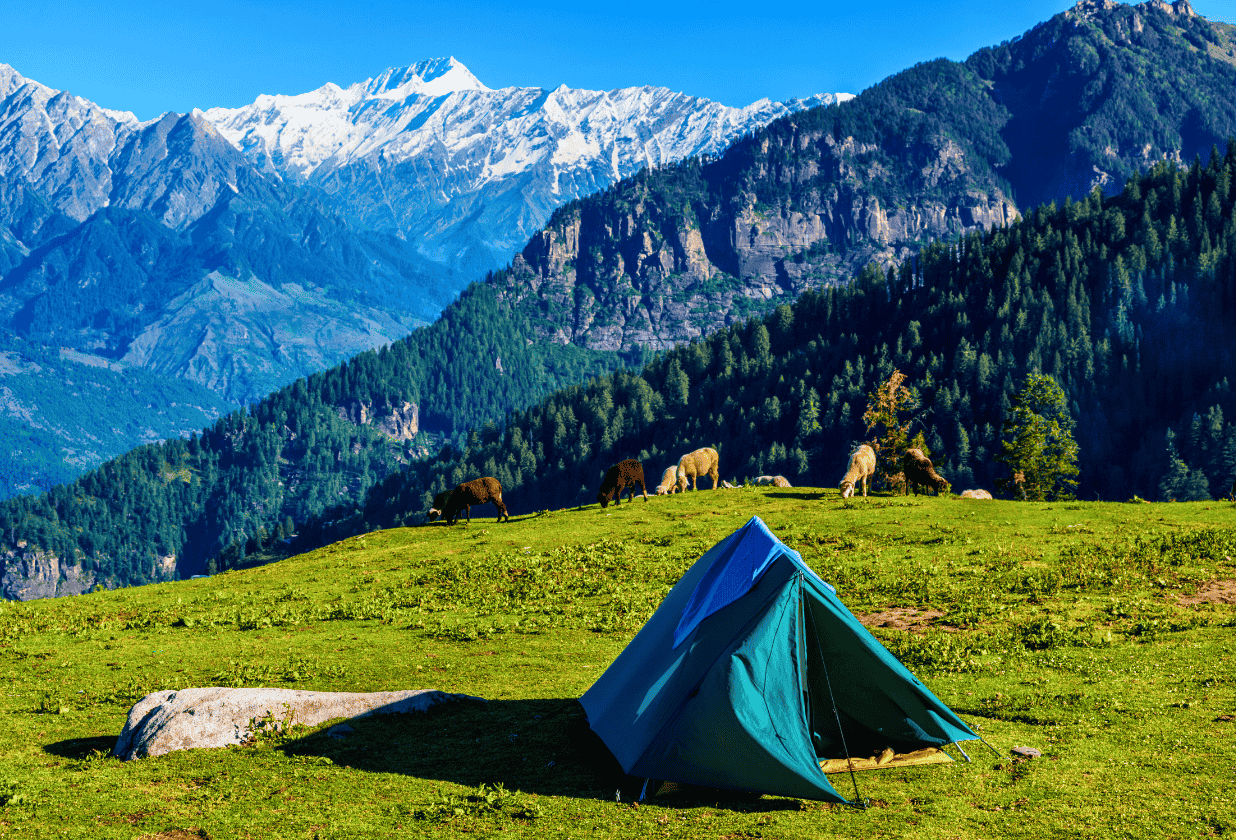 Gulmarg Winter Ski Weekend